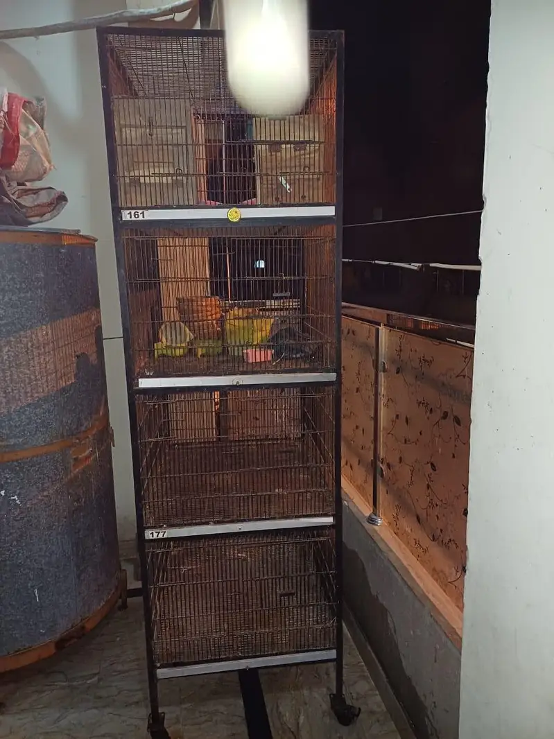 Cages — photo 4
