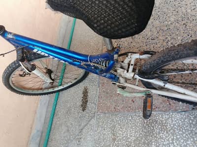 Dubai Wala cycle