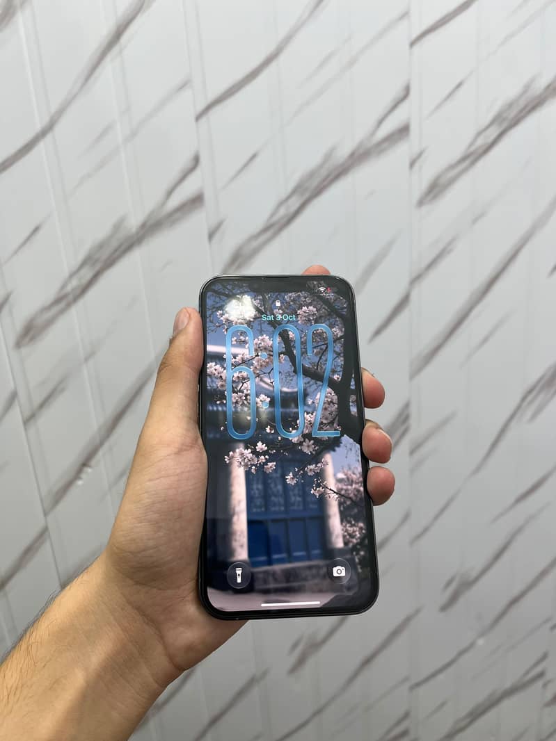 Apple iPhone 13 Pro 5