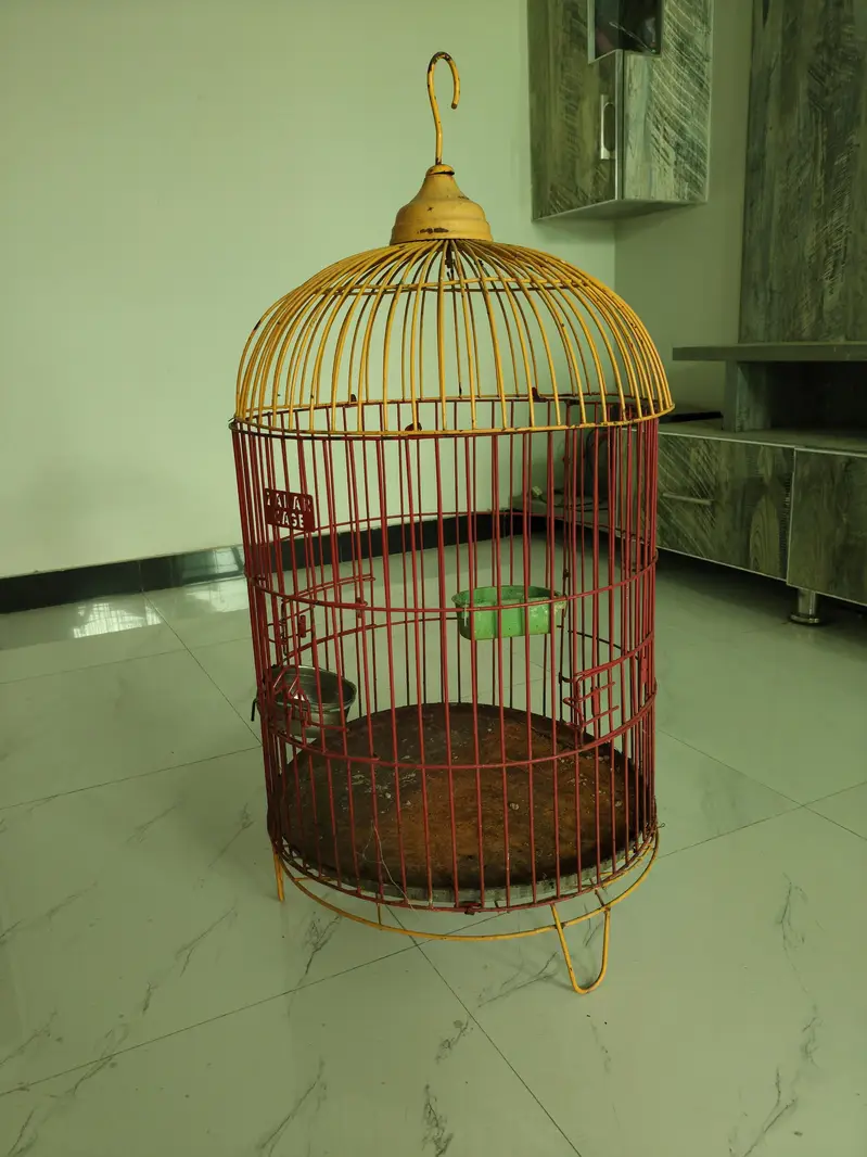 Title: Beautiful Iron Bird Cage for Sale – Good Condition — photo 2