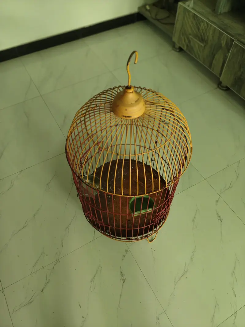 Title: Beautiful Iron Bird Cage for Sale – Good Condition — photo 3