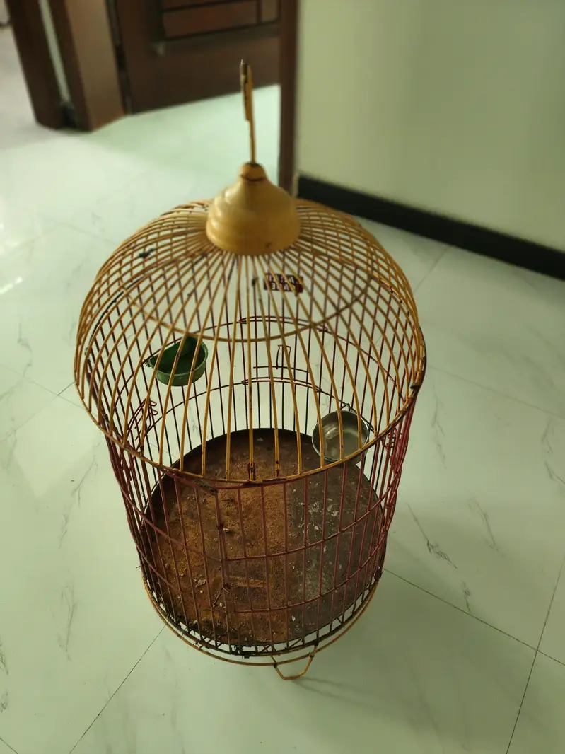 Title: Beautiful Iron Bird Cage for Sale – Good Condition — photo 5