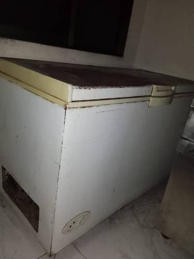 Double Door Freezer