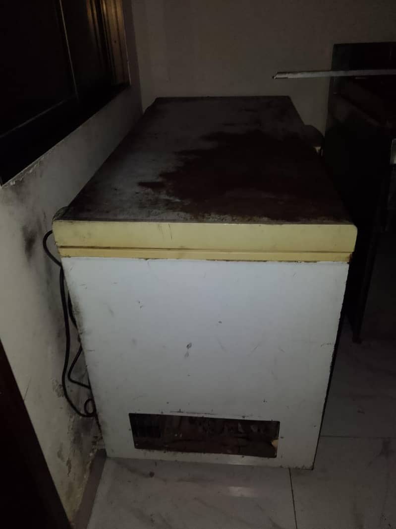 Double Door Freezer 1