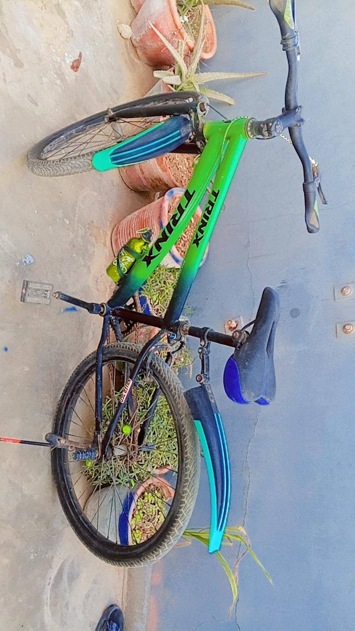 trink bicycle 1