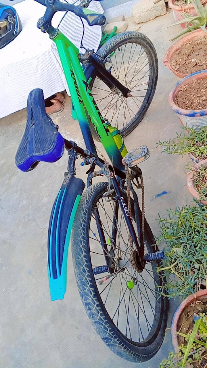trink bicycle 3