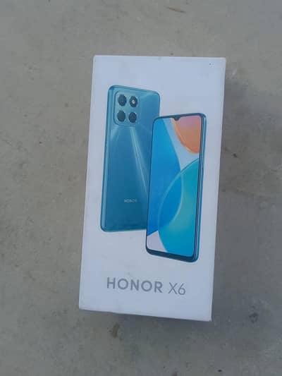 Honor X6