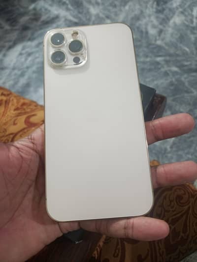 Apple iPhone 12 Pro Max