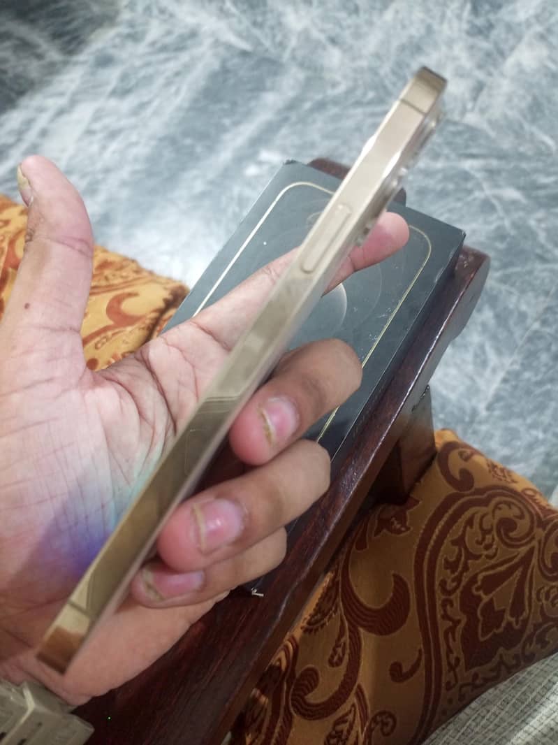 Apple iPhone 12 Pro Max 1