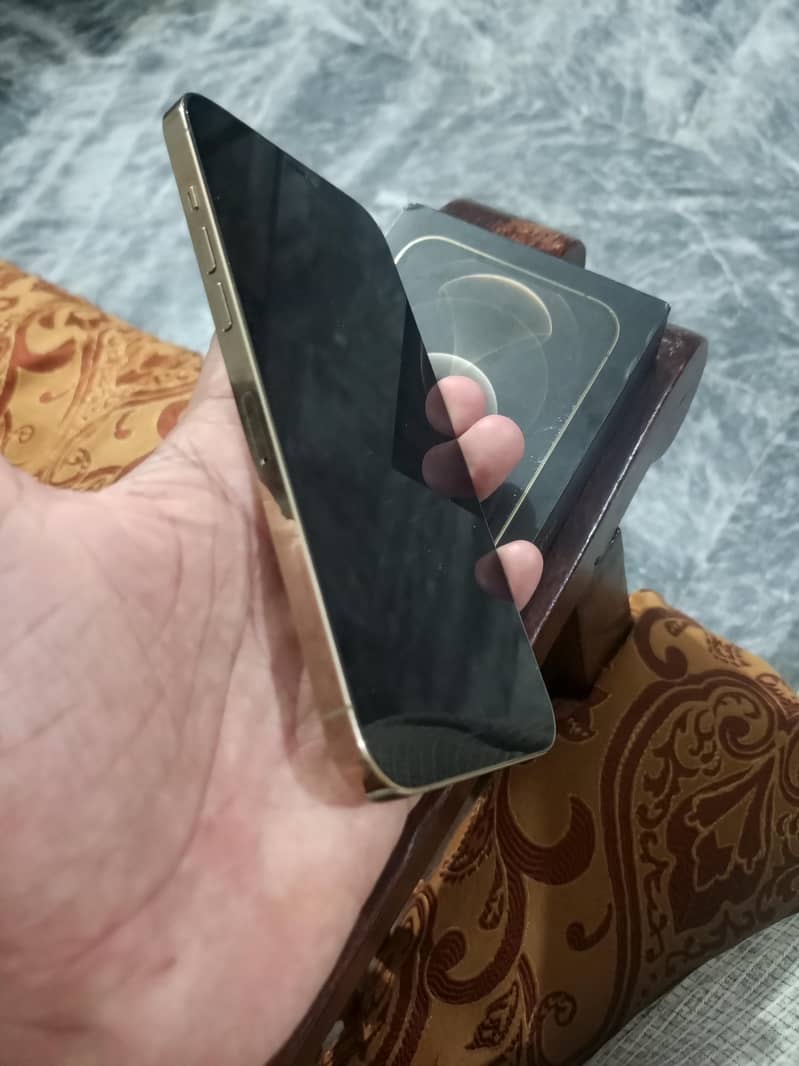 Apple iPhone 12 Pro Max 2