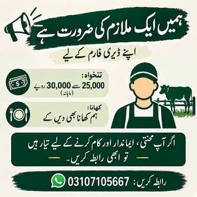 Whatsapp please