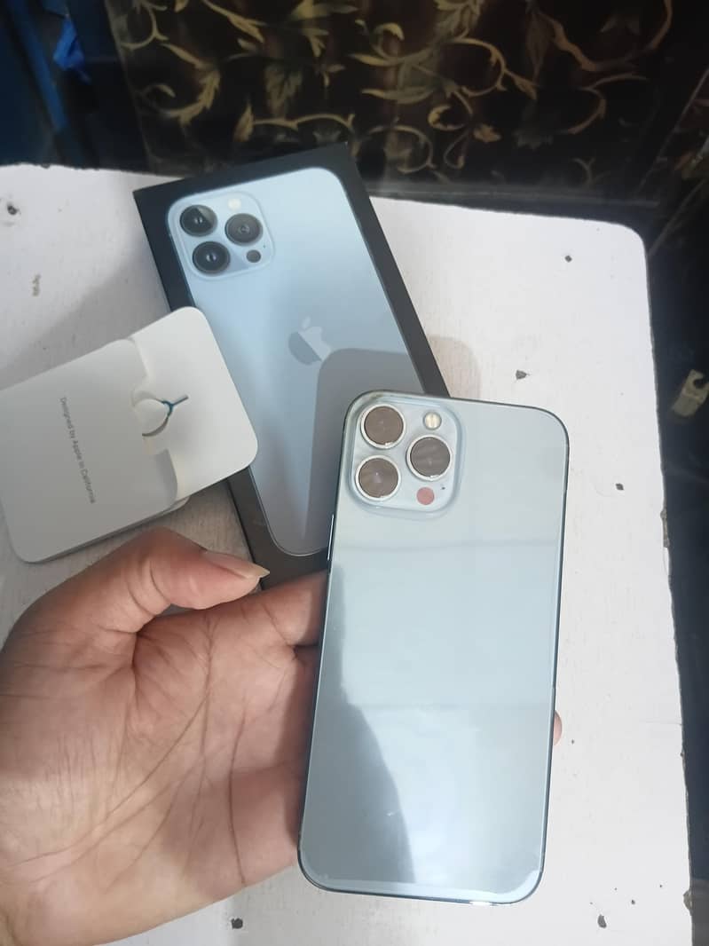 Apple iPhone 13 Pro Max 1