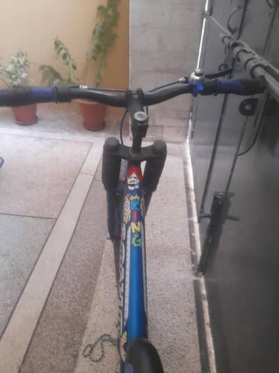premium cycle