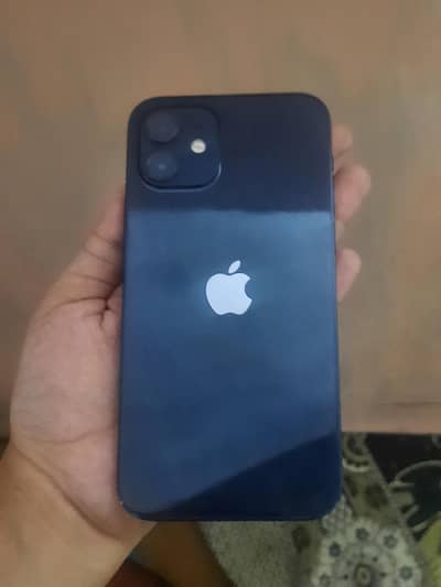 Apple iPhone 12