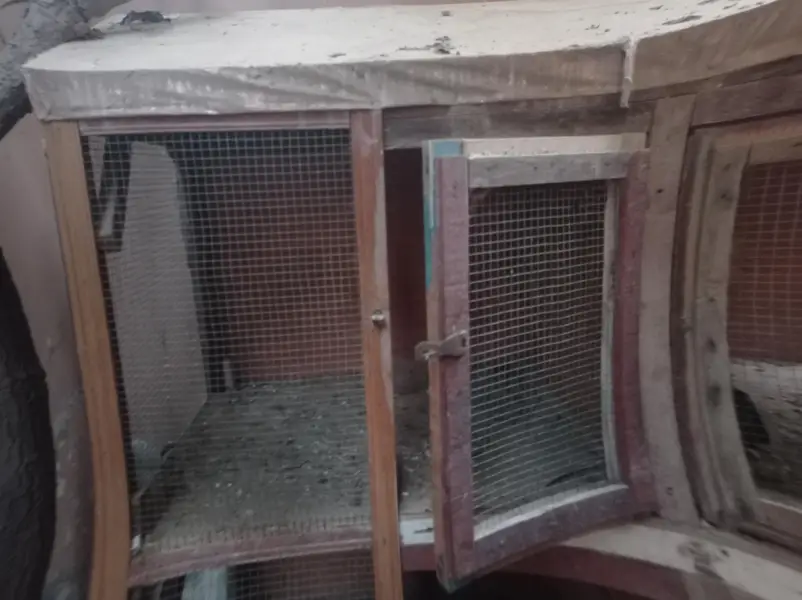 cage for sell — photo 2