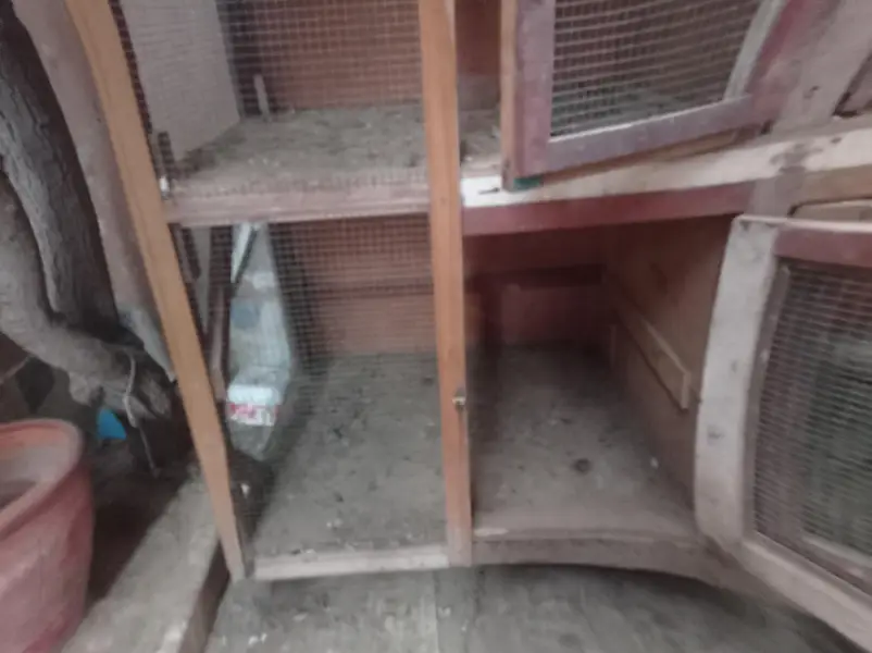 cage for sell — photo 3