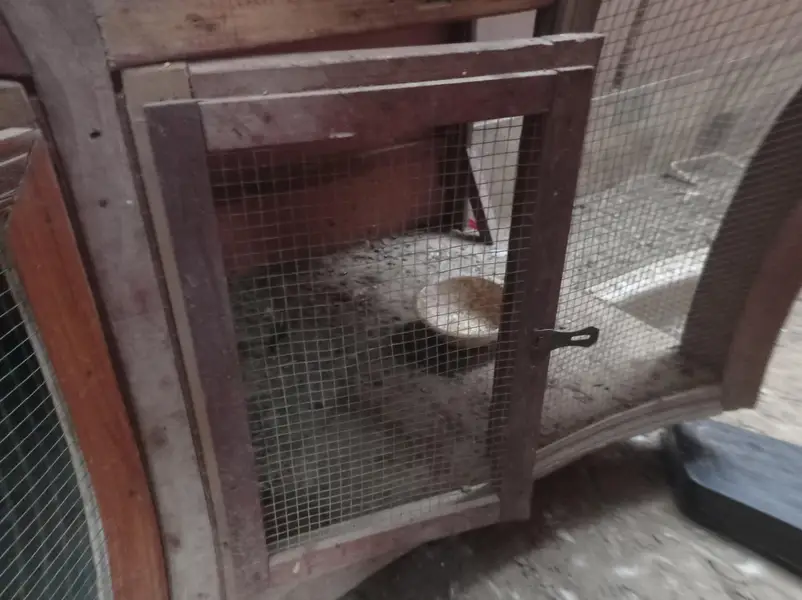 cage for sell — photo 5