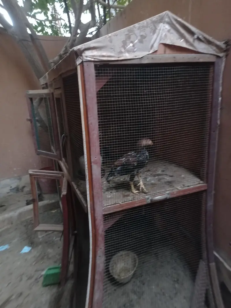 cage for sell — photo 7