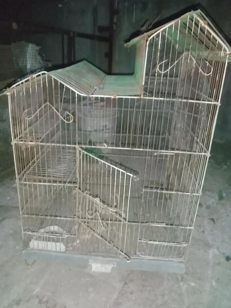 iron cages 03064328164+03464668249 — photo 2