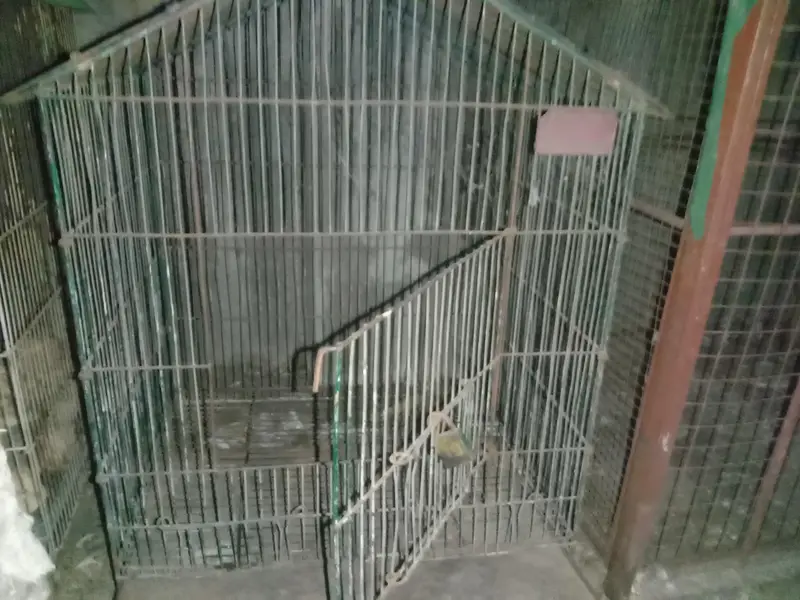 iron cages 03064328164+03464668249 — photo 5