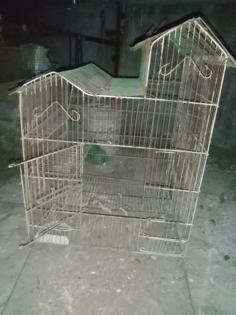 iron cages 03064328164+03464668249 — photo 6