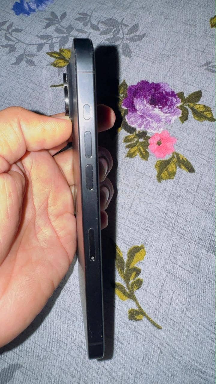 iPhone 15 Pro Max 2