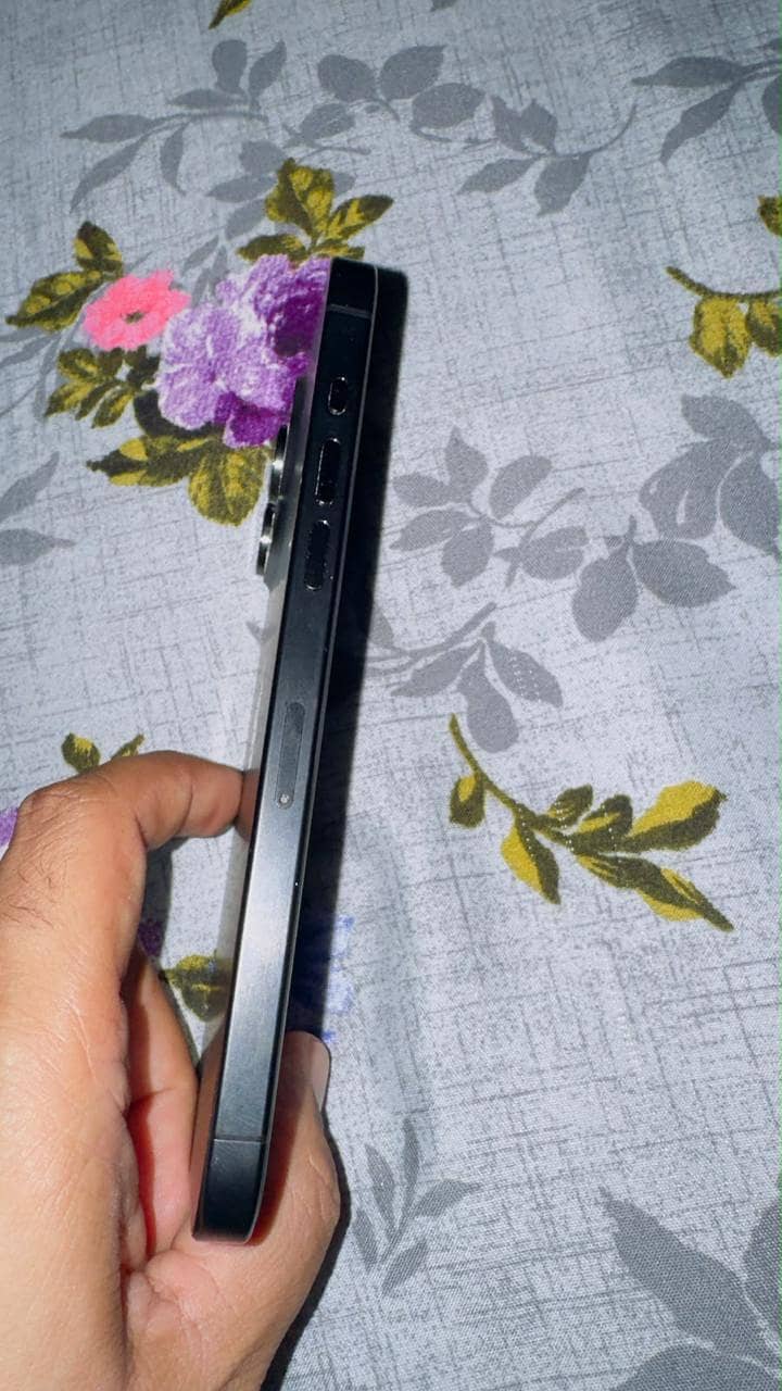 iPhone 15 Pro Max 3