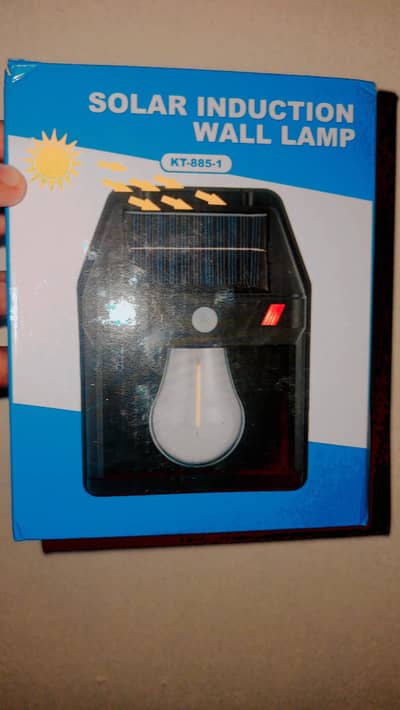 Soler Induction Wall Lamp