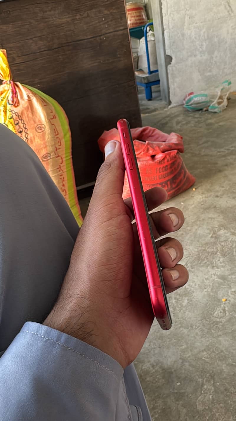 Apple iPhone 11 2