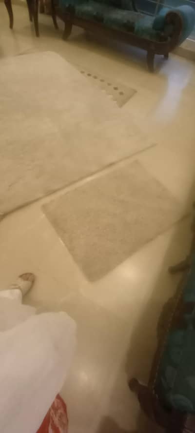 rug and door matt set