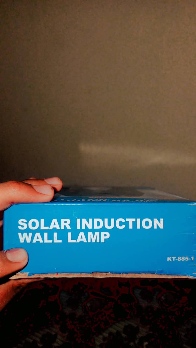 Soler Induction Wall Lamp 2