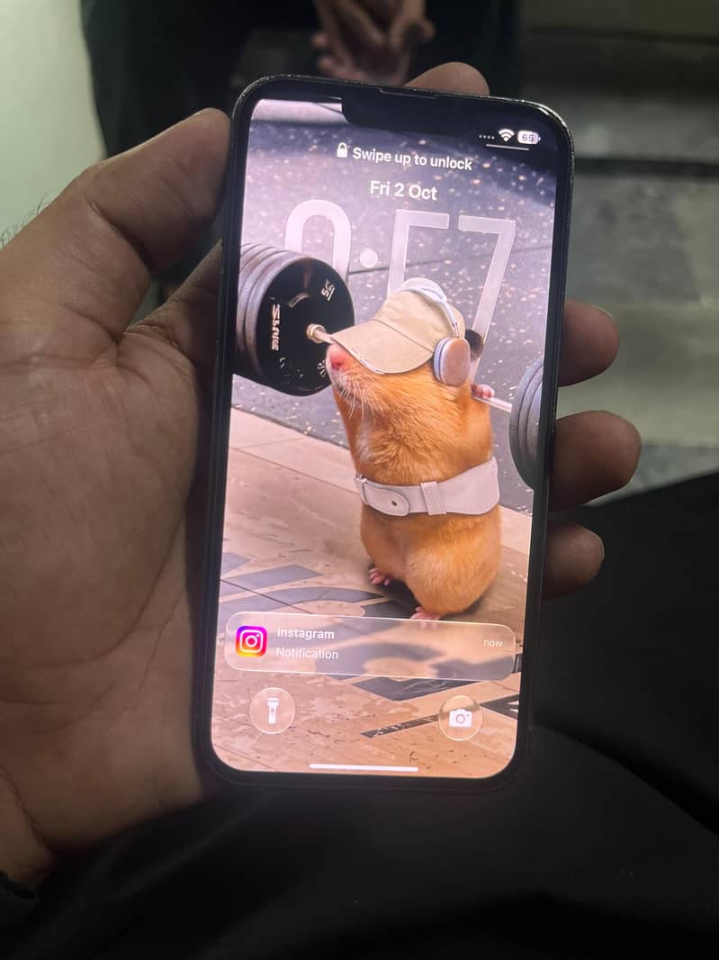 Apple iPhone 13 Pro 4