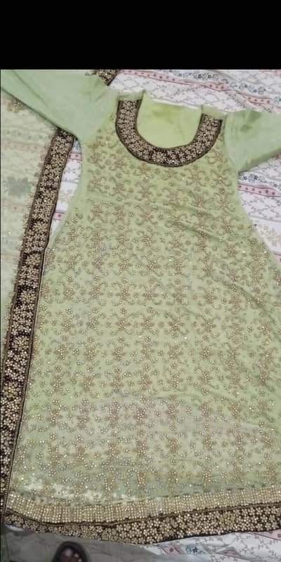 Maxi Greed color