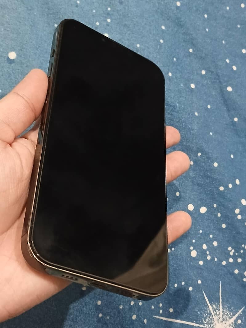 Apple iPhone 13 Pro Max 1