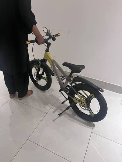 Fat Tyre Mountain Bike – Stylish Sports Bicycle