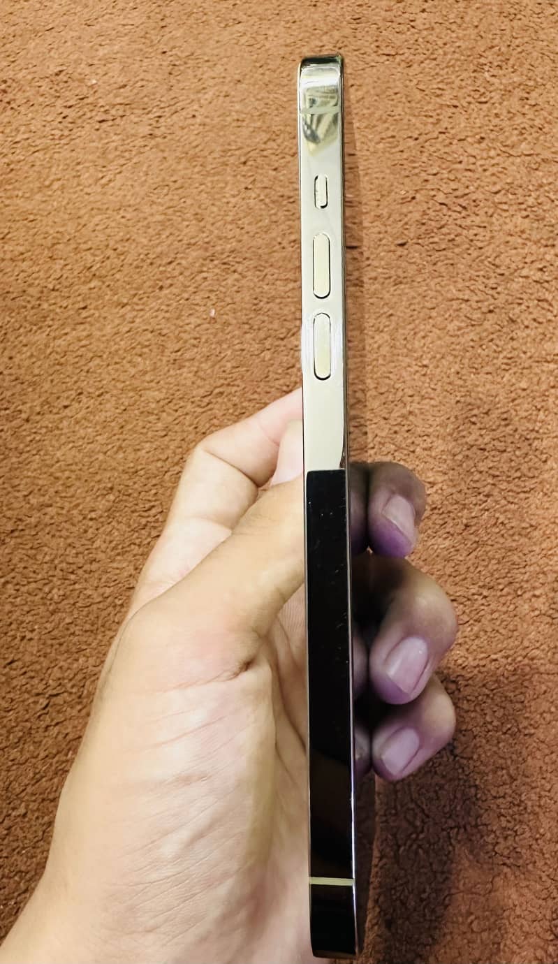Apple iPhone 14 Pro Max 4
