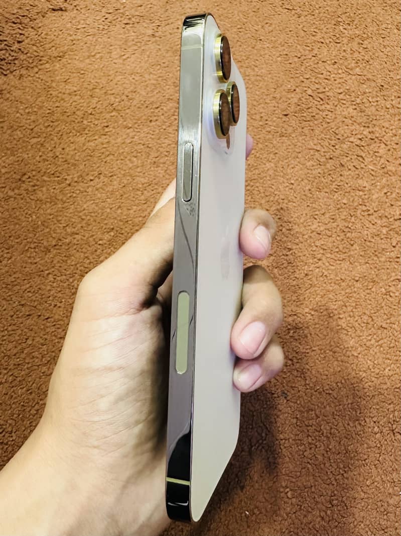Apple iPhone 14 Pro Max 6