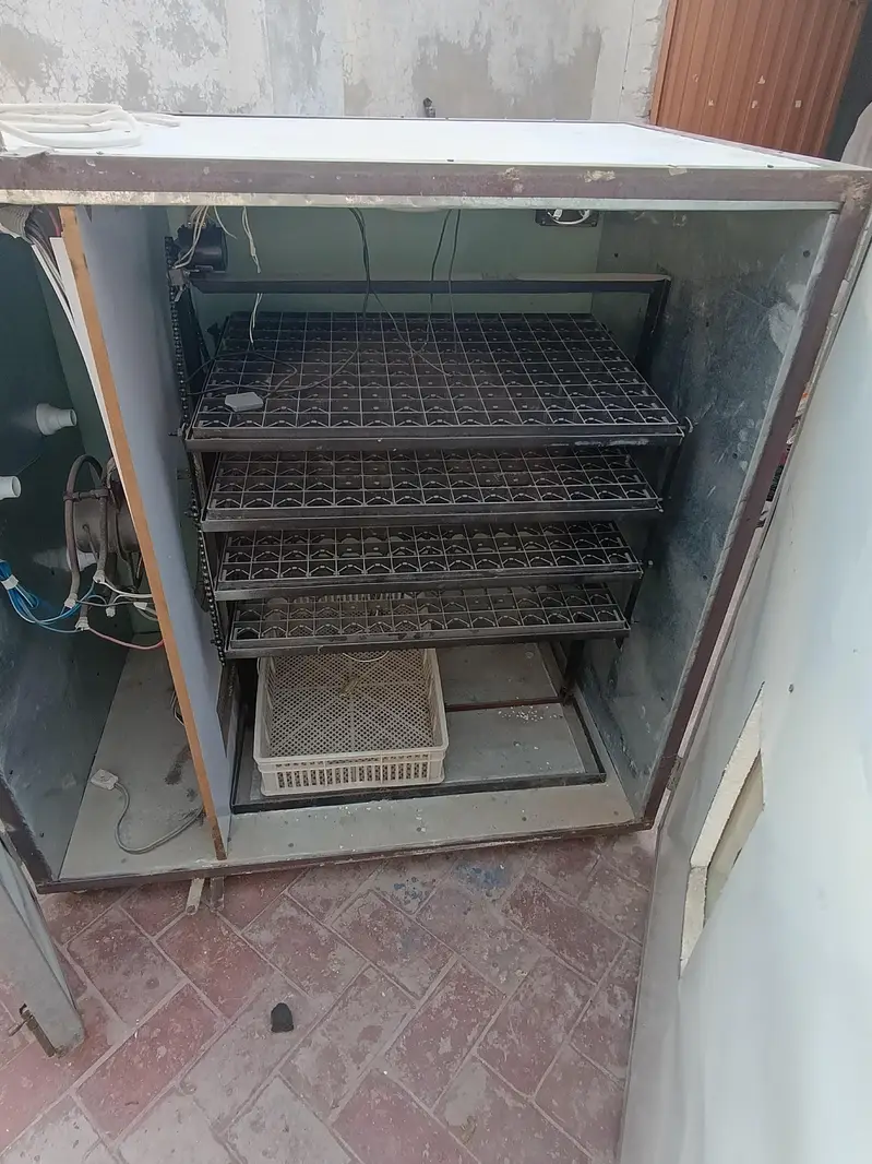 600 eges incubator only in 20000 — photo 11