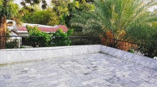 Need cook for hostel in Islamabad