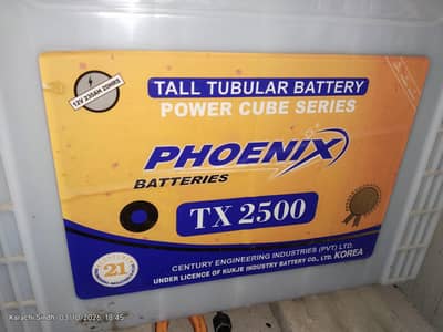 Two (2) Tall Tubular Battery. 1.5 Month official warranty