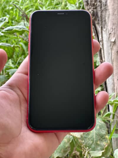 Apple iPhone 11 64Gb JV