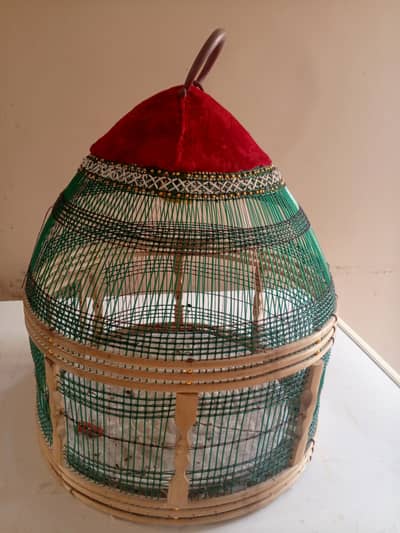 black francolin cage