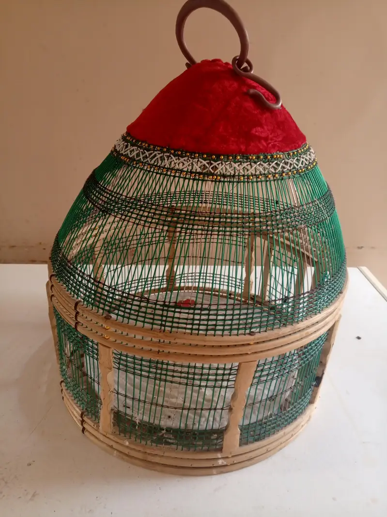 black francolin cage — photo 2