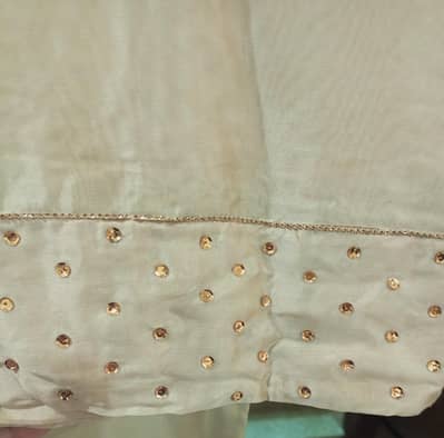 MUSE Copy – Handwork Embroidered Dress