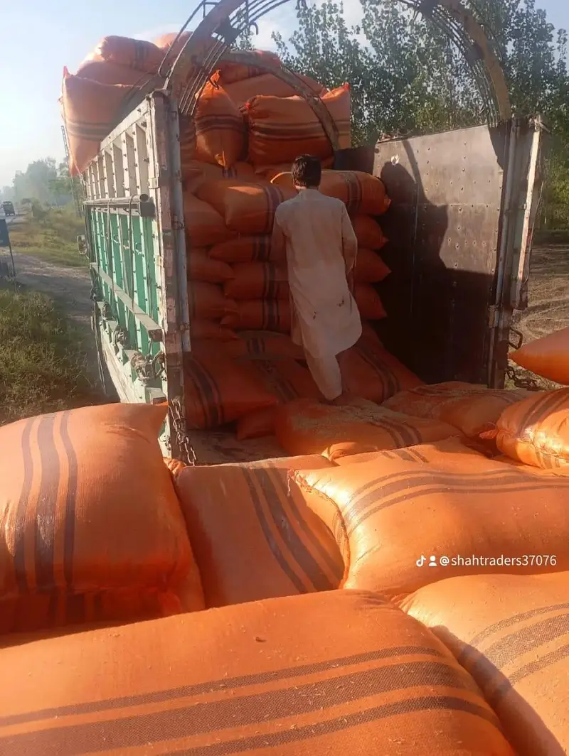 Rice Husk Chawal ka Chilka For Animal Bedding Delivery All Pakistan — photo 4