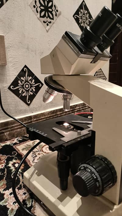 compound microscope.