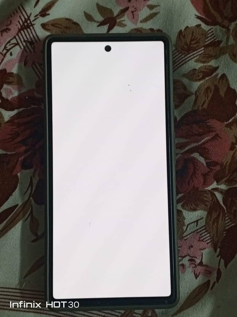 Google Pixel 6 Panel 0