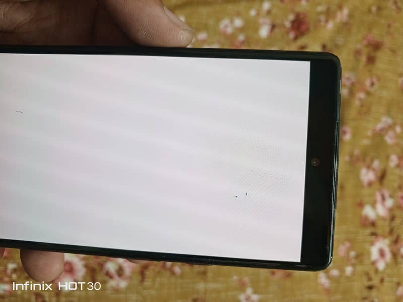 Google Pixel 6 Panel 1