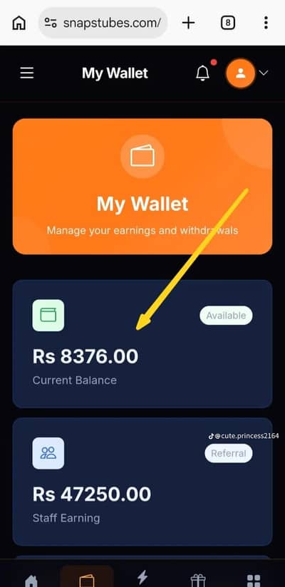 SnapTube online earning