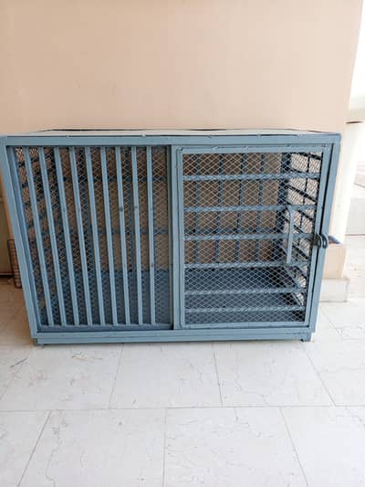 Dog cat hen brand new iron cage 03333249606